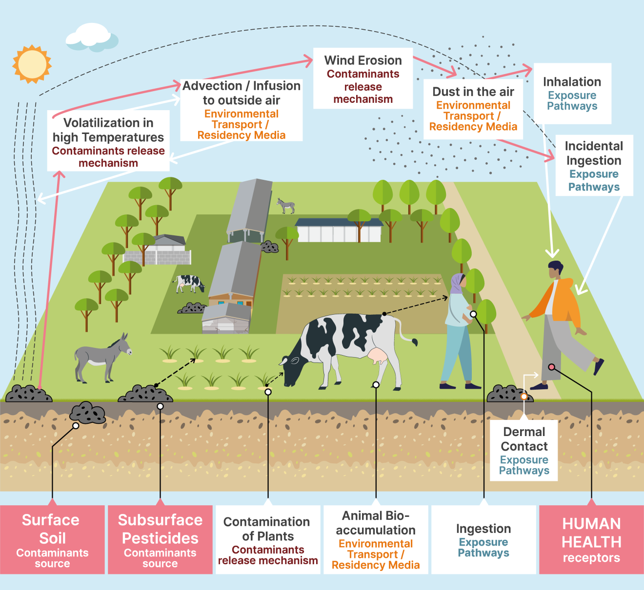 Conceptual Site Model of Pesticide Contamination in Juibor Village, Tajikistan