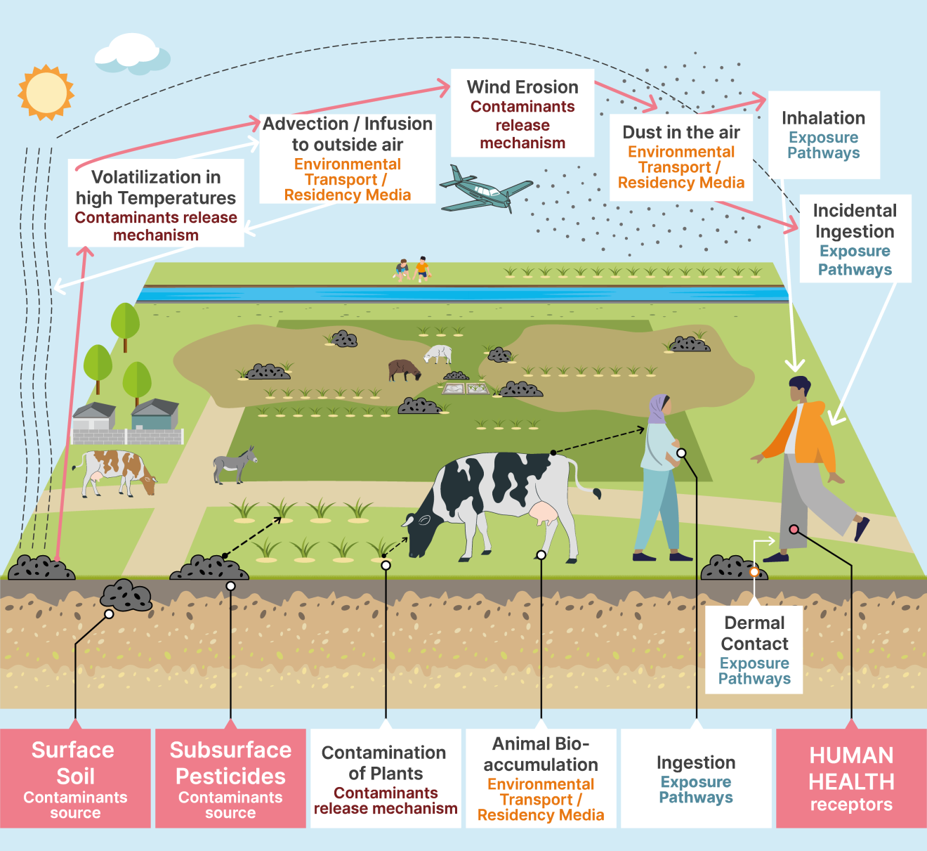 Conceptual Site Model of Pesticide Contamination in Navobod Village, Tajikistan