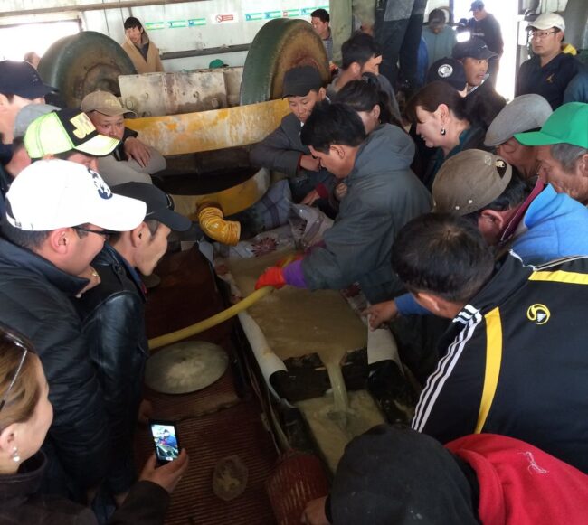 Non-mercury gold separation method in Bayankhongor ESCM, EHPMI, Environment and Security Center of Mongolia