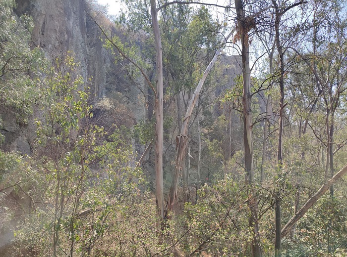 Journey Through Mexico's Parks