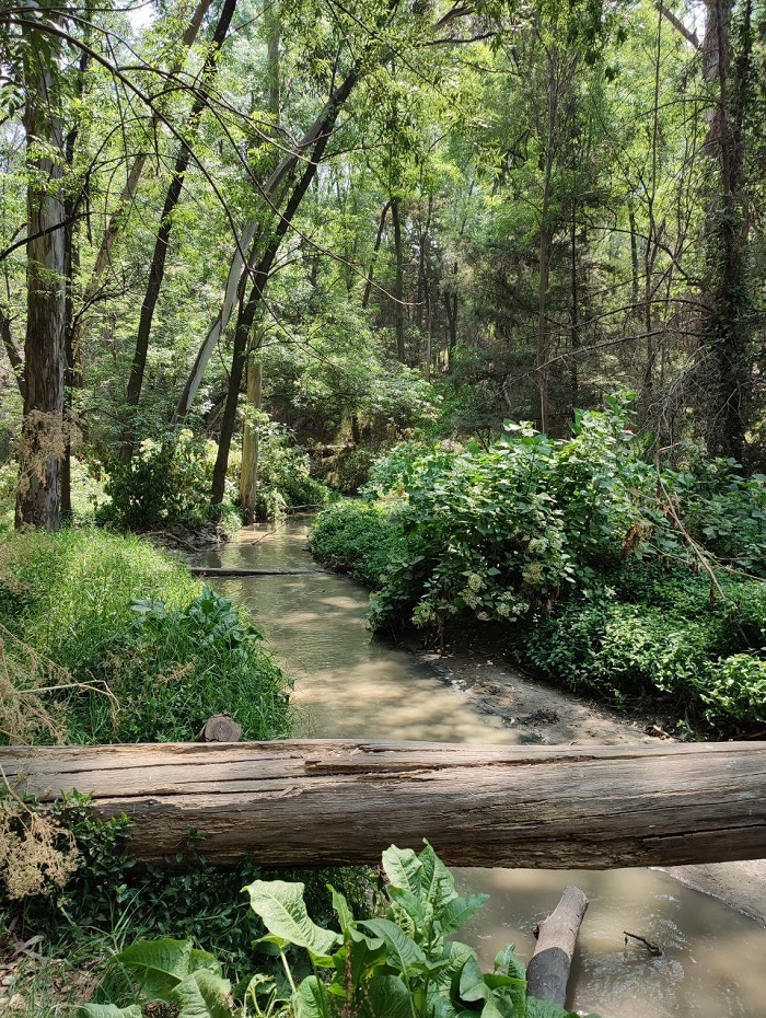 Park “De Los Arcos”