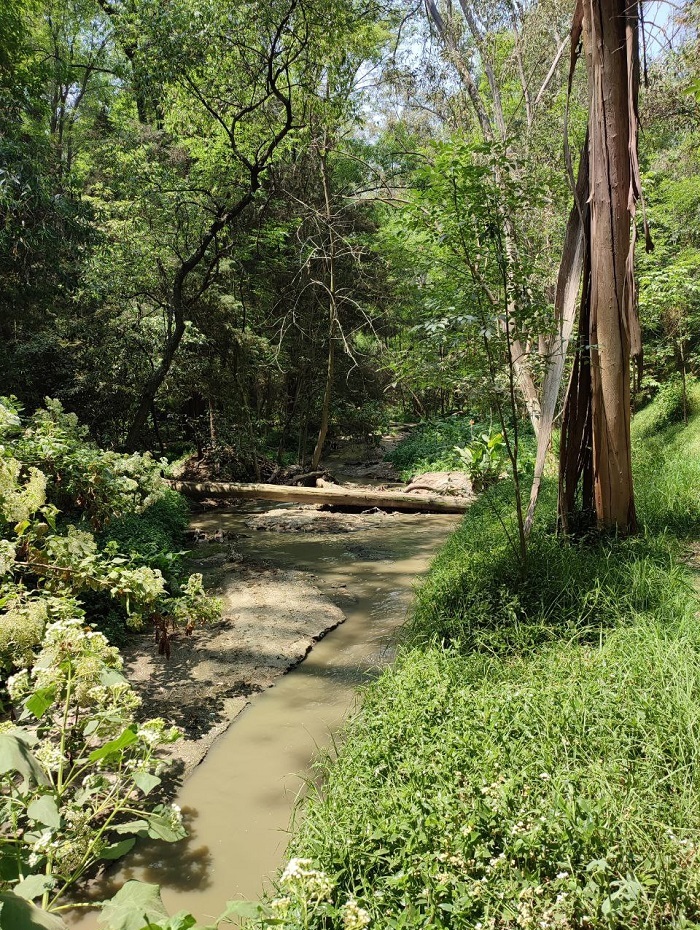 Park “De Los Arcos”