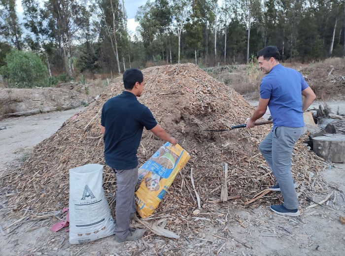 Cleanup and fire protection activity